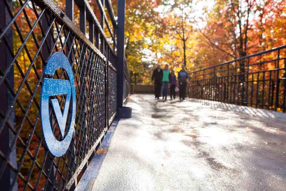 Little mac bridge on the Allendale campus in fall